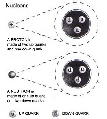Quark composition of a Proton and a Neutron