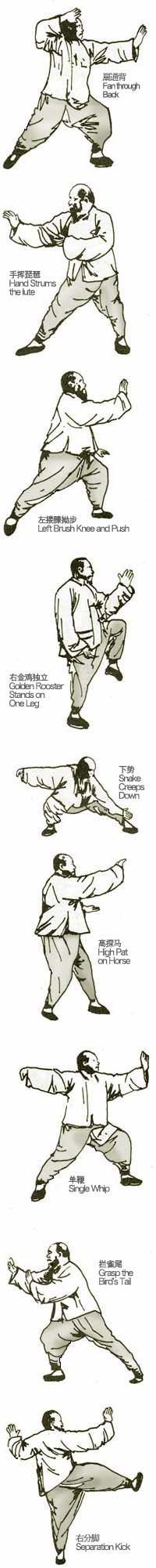 Taijiquan