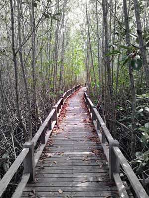 A Long Path to follow
