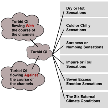 Turbid Qi